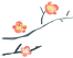 102243lywhb4s2qlp4ykyh.png