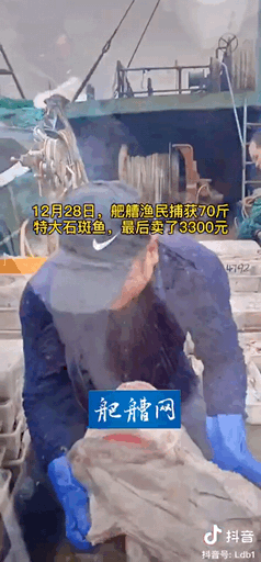 095622s61bqxsscagvavg0.gif