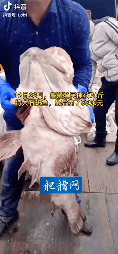 095622uhf9zfy6vhk69f8s.gif