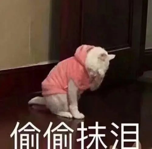 095525toxihztopmoio5ix.jpeg