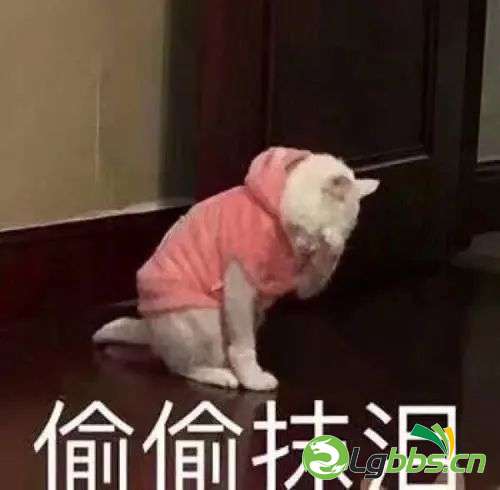 094630sxddhddrdxde0gl5.jpeg