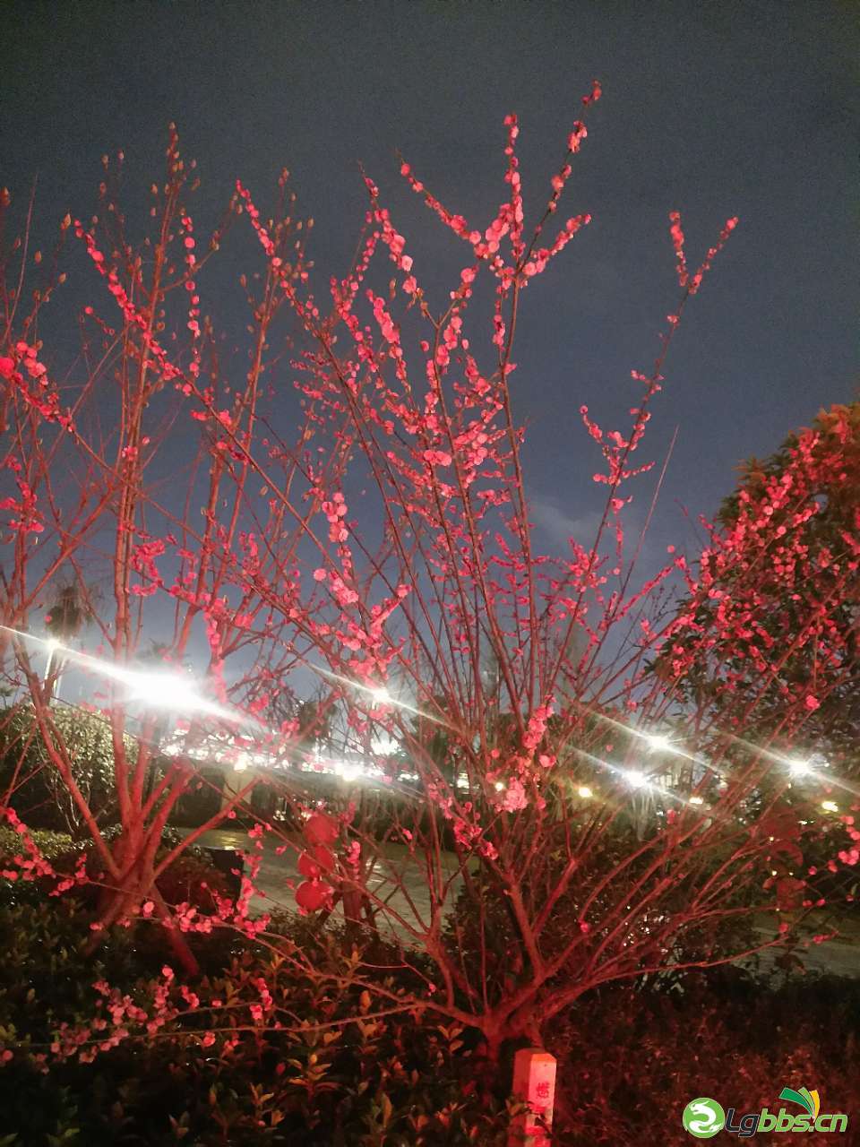 front2_0_FhadMJwAoifGvQOa_diai-Eddd45.1613312957.jpg