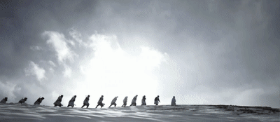 092555lauquc6xp6qo66gi.gif