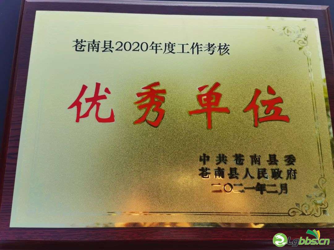 101136gkweabpzk703kgbp.jpeg