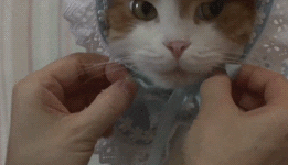 095730jvdym1nxxcvgdelz.gif
