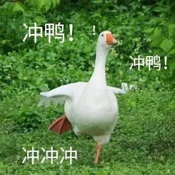 091826pfjm828slz92sbli.jpeg