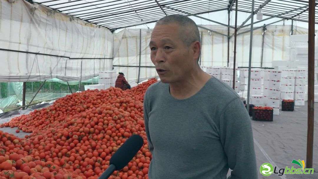 090618w8ieizsrzk6zsqm6.jpeg