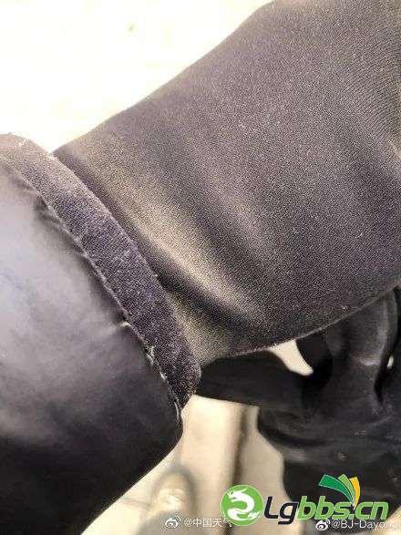 135155jml74zfwjzppbddp.jpeg