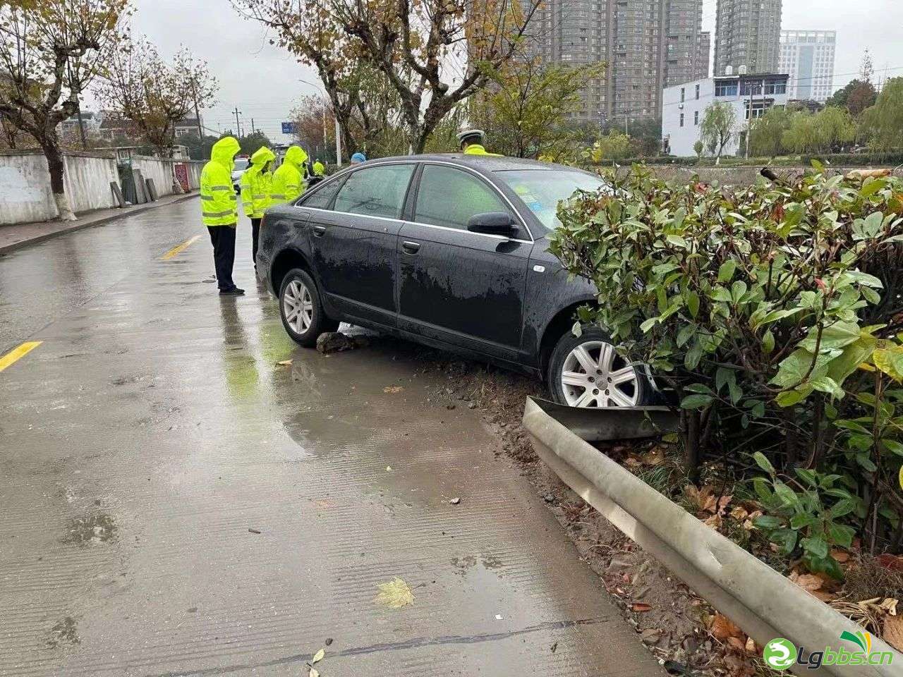 025911tq7kc7967mo51vev.jpeg
