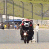 023258ch774da1h9i86hw6.gif