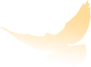 065430ynpnbnqdlbyy72rz.png