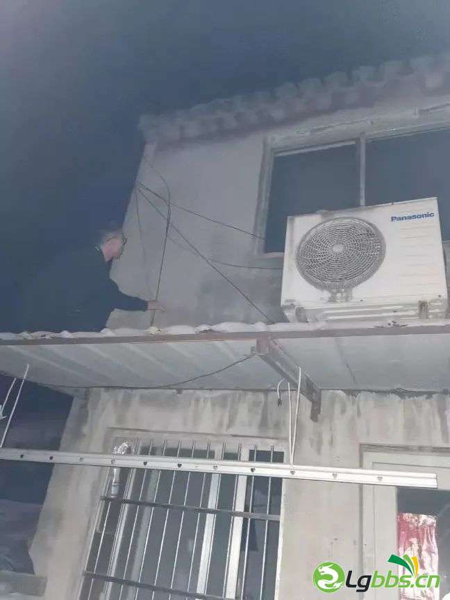 050730xp7pqxzsgqass55d.jpeg