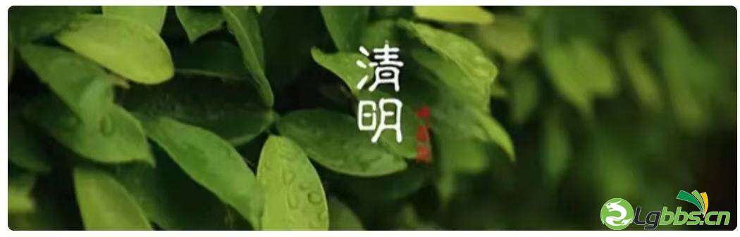 微信图片_20210404073304.jpg