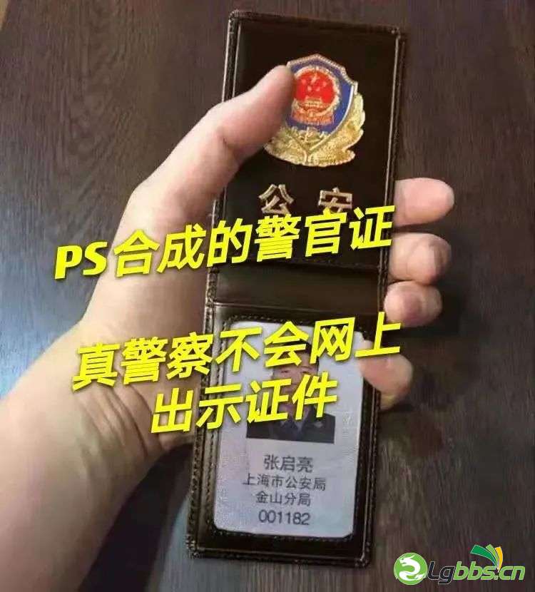 110803w66085mq8mvv8ss0.jpeg