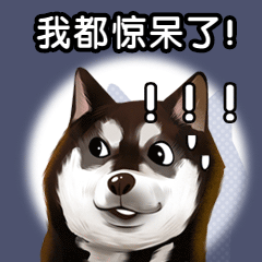 043055h58h5k5hj9vt5c9h.gif