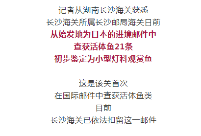 032051qemkzhzle4y433e7.png