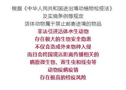 032052lhrrjsh9i7mh7lhh.png