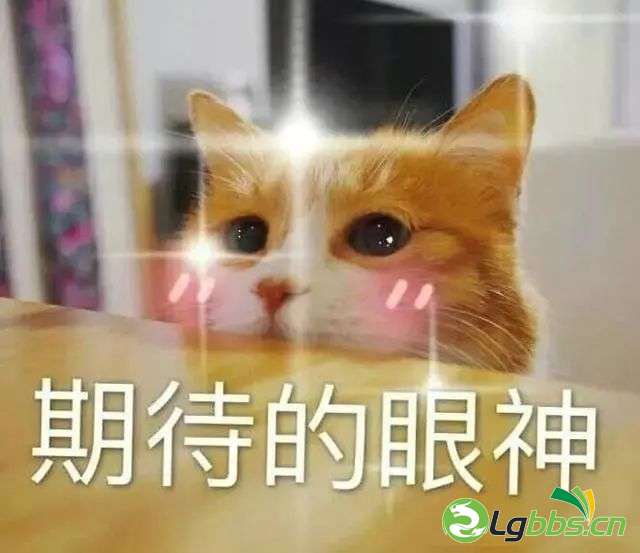 132648jpj5tz9mmxtpjzmp.jpeg