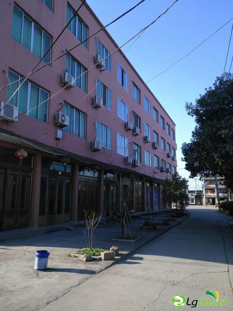 61.jpg