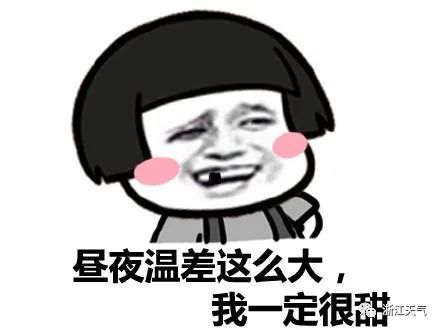 021945t1dxfbjp6ovr1xpo.jpeg