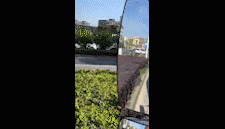 121758qzp000833hsg1jdu.gif
