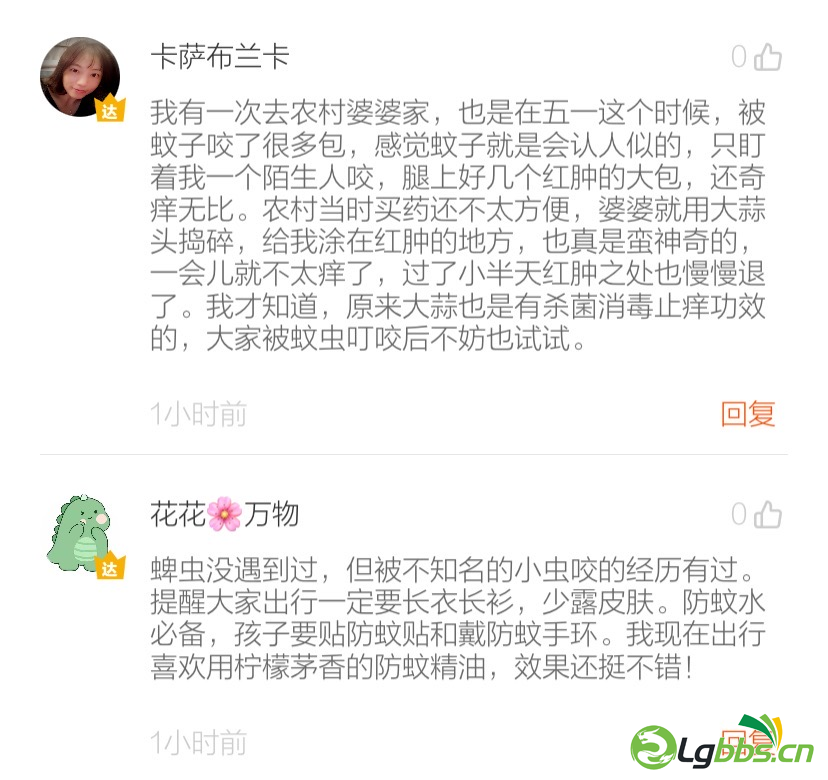 044156a0zn5hd23ii500hh.png