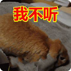 165811ecq8vq1d31pbdv37.gif
