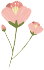 145516yp8rg1hkz11r6kgr.png