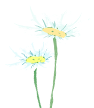 025741t79wpnikniep7fdp.png