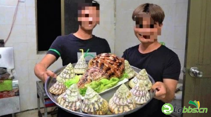 064625ksuebs4qldlxybjz.png