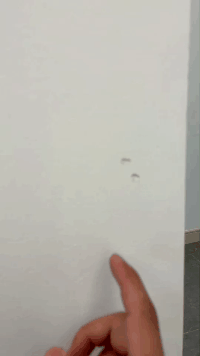 192306fhd7qc7rermdgvze.gif