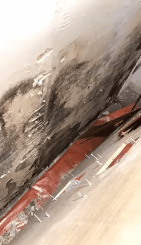 192307wffqgefe837eqhcz.gif
