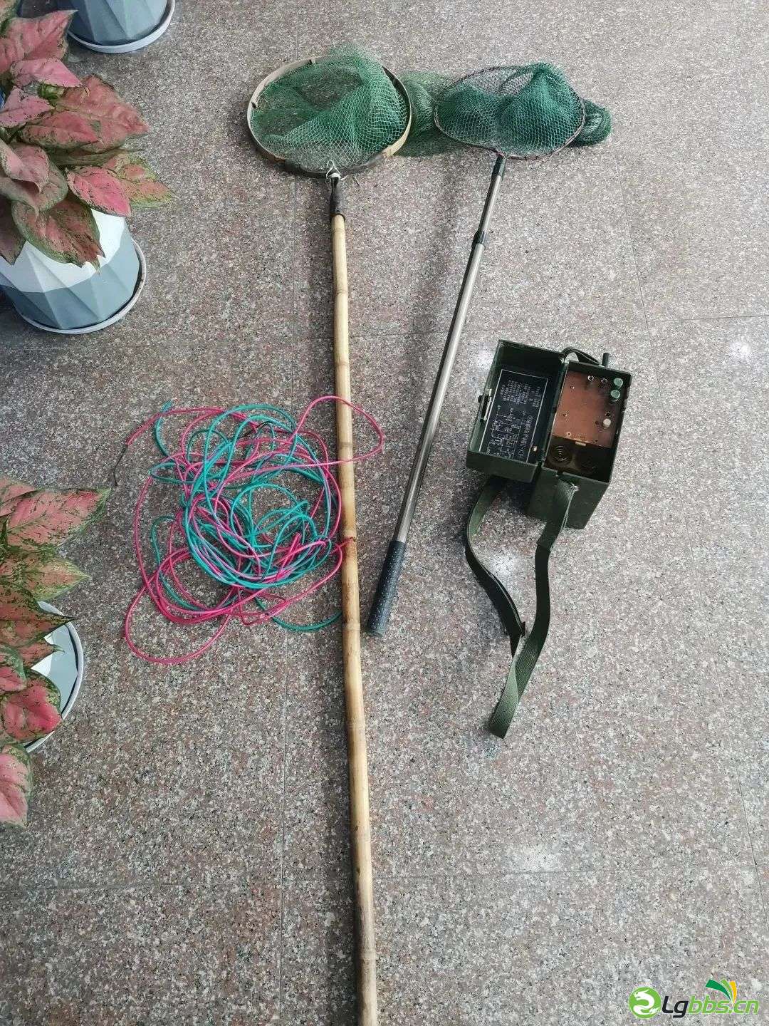 115733m4522bzrxy5v45o5.jpeg