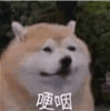 014230t8sibncbrdtib4cc.png