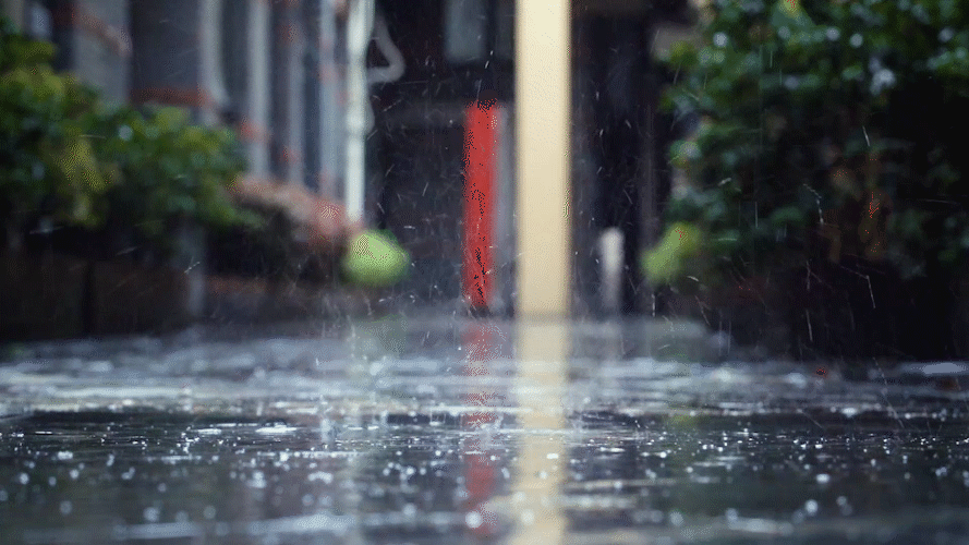 005953f6rzwd77au6fwdu4.gif