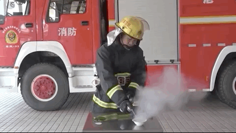 060103sbee24mebzffnnzr.gif