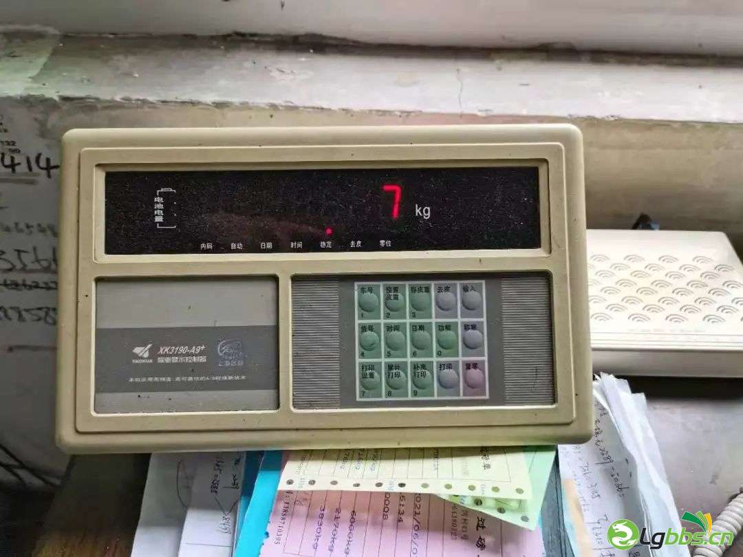 002153ar9ty7fcyyy7urfi.jpeg