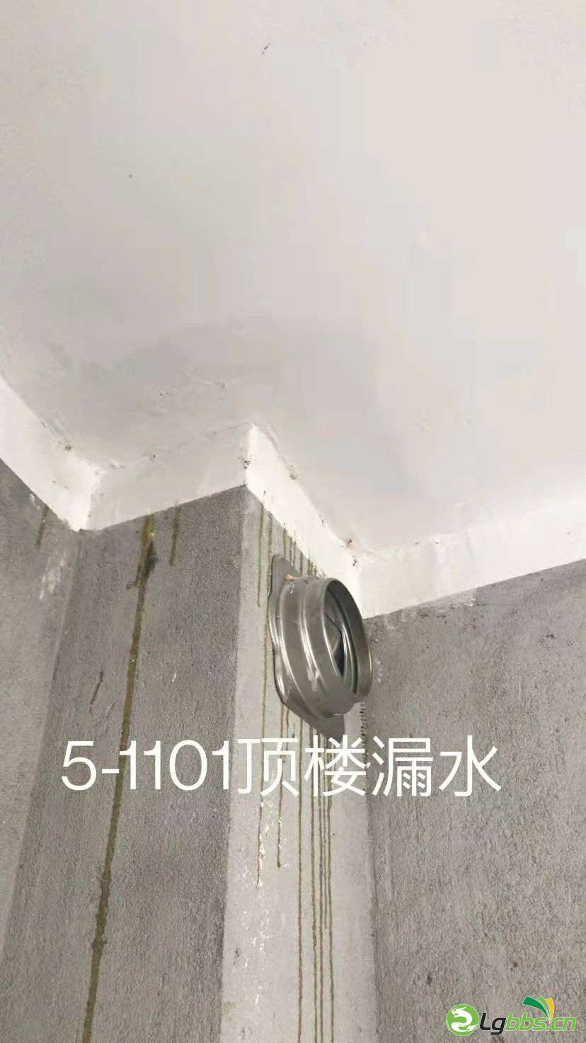 015503vpbivnx9hvvj3b98.jpeg