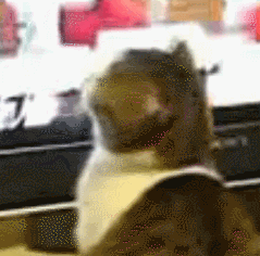 071232fqlwq6st9pdpt9wd.gif