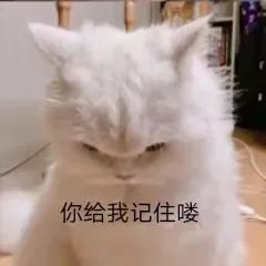 102245mxx2vv8xkbx8yb8b.jpeg