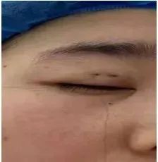 095140j5wu6k1ssk9s05zs.jpeg