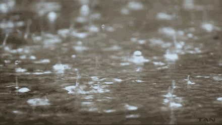 085937t3m34xxhrdbh2y2b.gif
