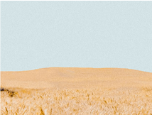 094645ecgy0fzz4r2m00p0.png