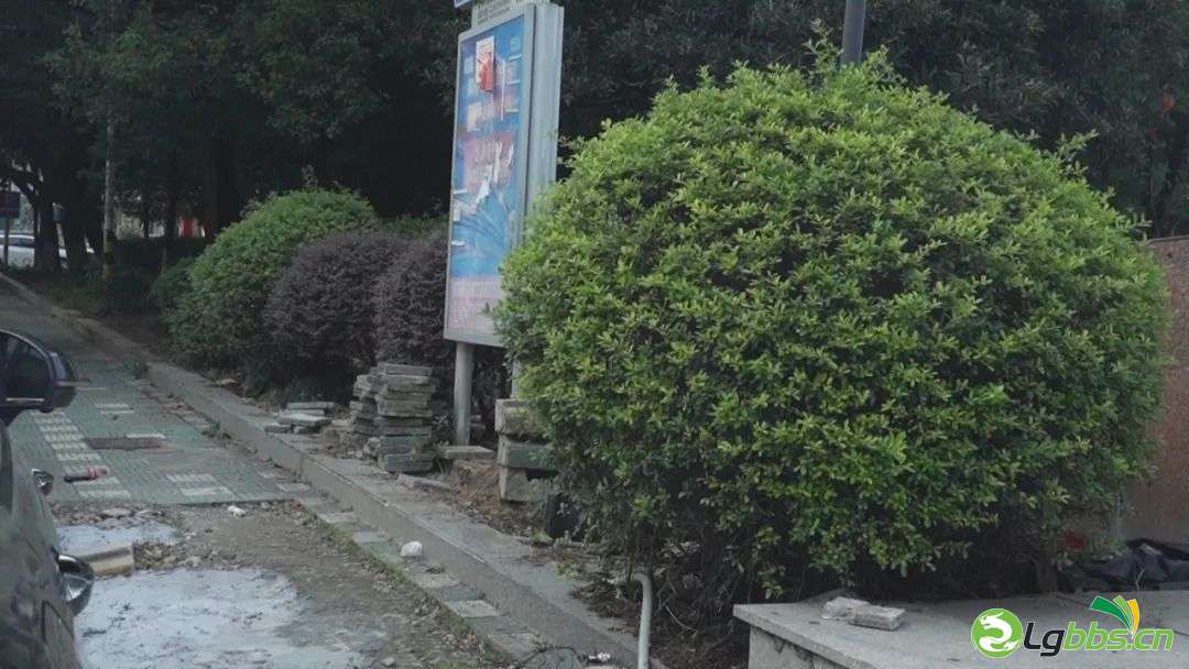 092729bv6tpg22ahuu9y4h.jpeg