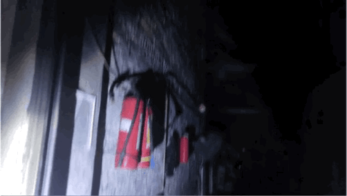 123423d0g00w5ql7l8lzx8.gif