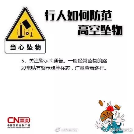 161736qh4mzm4mmcp3wfp7.jpeg
