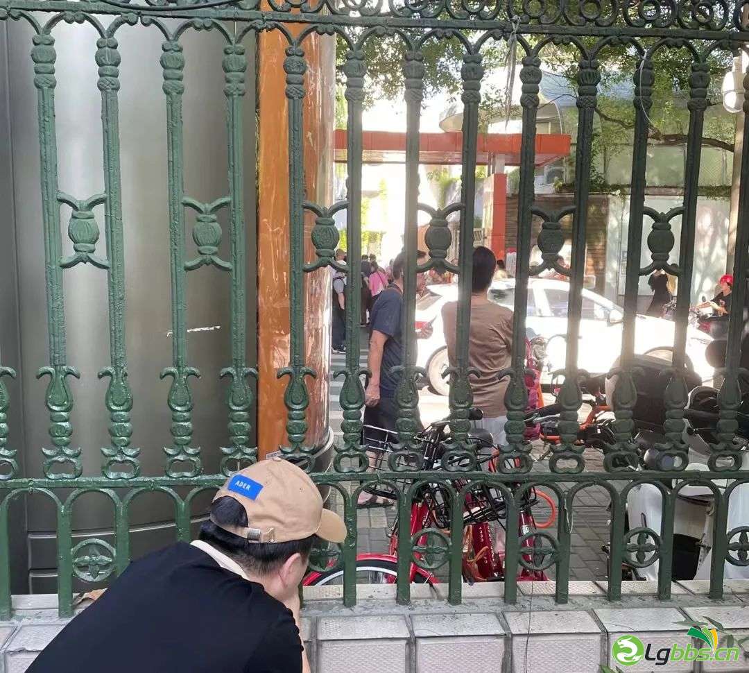 122149nqpu4shb3xpiux94.jpeg