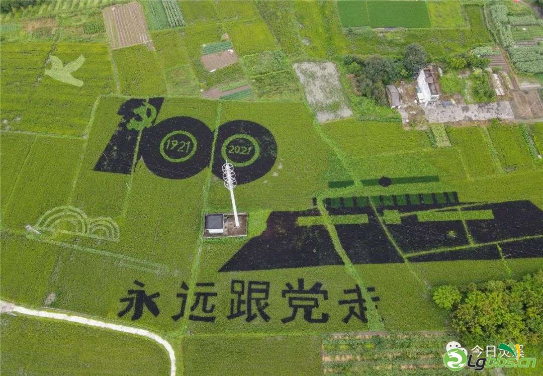 153957h38uj83l3n33uukj.jpeg
