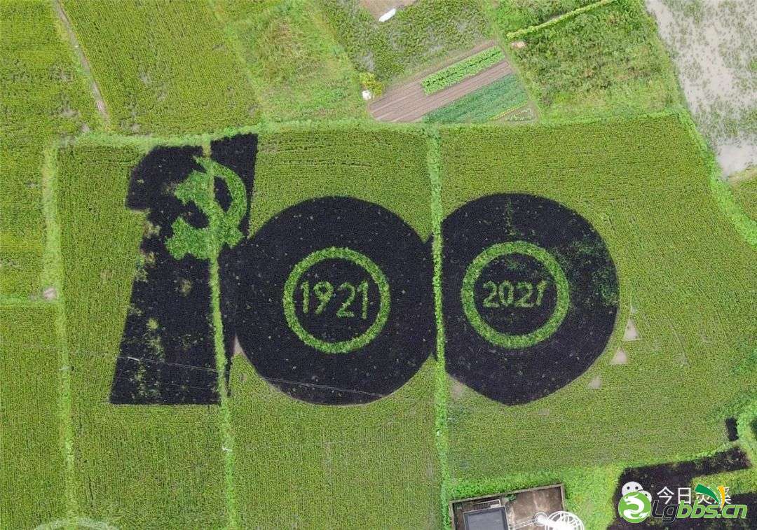 153958ux9kqlexnf0hnd9q.jpeg