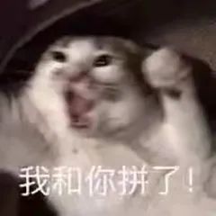 160030ys0s9xb8n0p8h0hd.jpeg